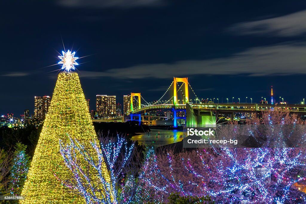 Enchanting illumination in Tokyo creates a winter wonderland experience