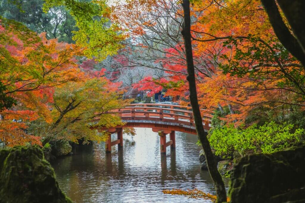 Places to see autumn in Tokyo and Yokohama