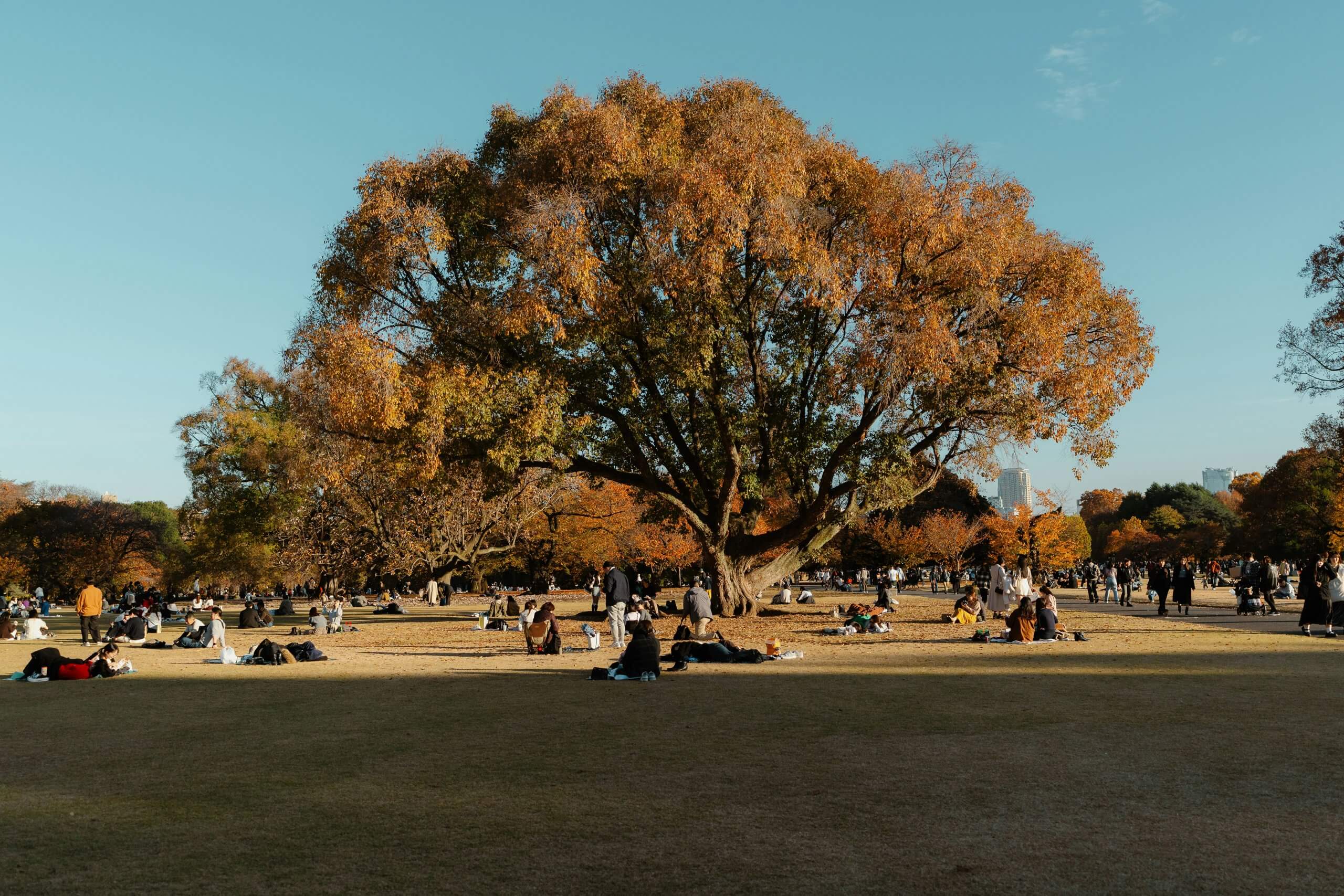 takashi-s-7cn-b6Rwr3Q-unsplash