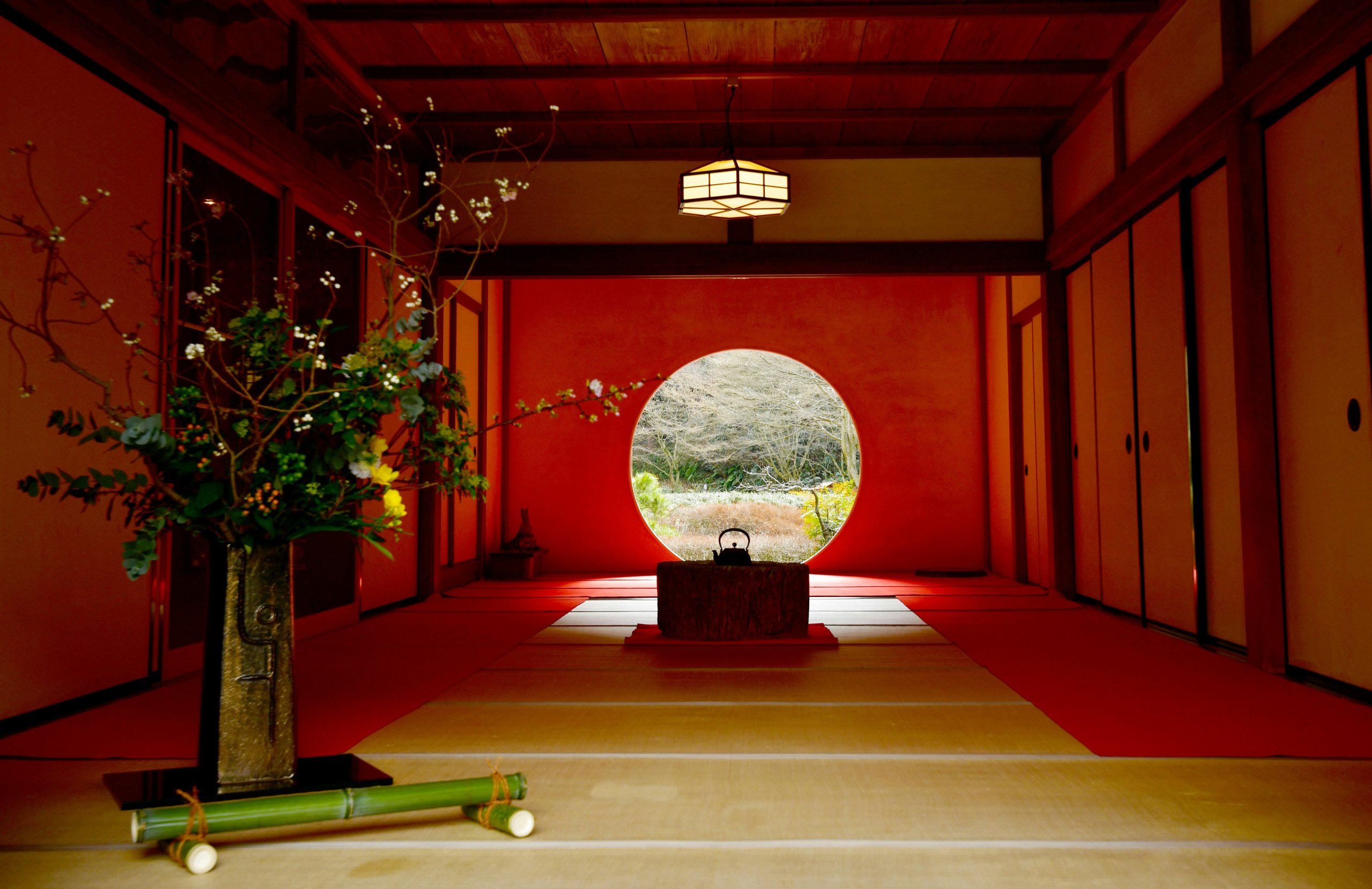 pexels-ten-ten-689615403-23224447