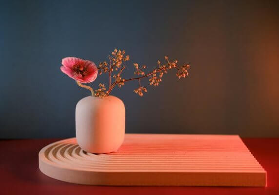 linh-le-Rhq2WM3-FfI-unsplash