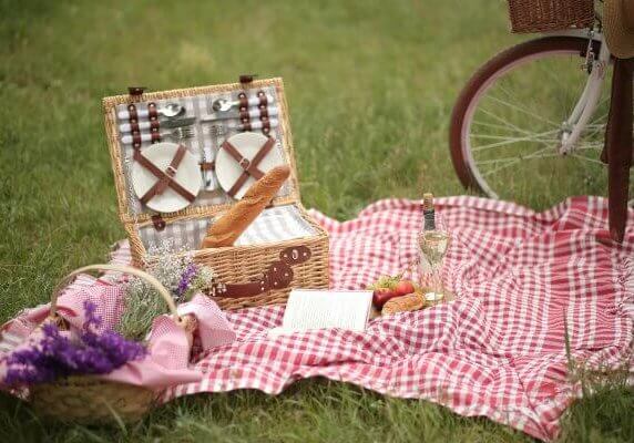 pexels-mlkbnl-16564695